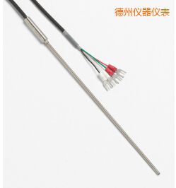 德州快速響應鉑電阻溫度計