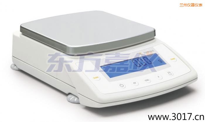 蘭州CPA系列精密電子天平,8200g,0.1mg